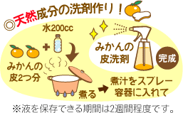 みかんの皮でクリーン液をつくる